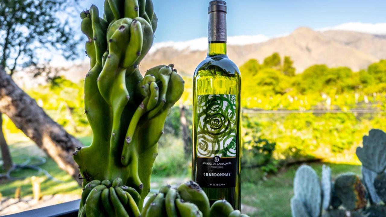 Araoz De Lamadrid Hotel&Bodega San Javier  Esterno foto